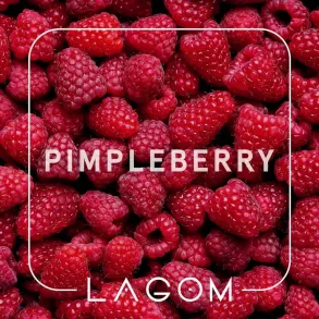 Lagom Pimpleberry (Лагом Лісова Малина) Main 40g