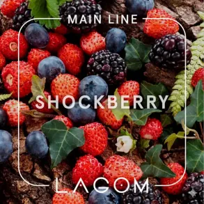 Lagom Shockberry (Лагом Кислі Ягоди) Main 250g