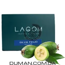 Lagom Silva Feijo (Лагом Фейхоа) Navy 200g