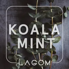 Lagom Koala Mint (Лагом Евкаліпт) Navy 40g