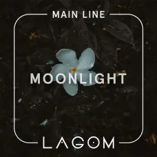 Lagom Moonlight (Лагом Зелений Чай з Жасмином) Main 40g