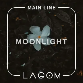 Lagom Moonlight (Лагом Зелений Чай з Жасмином) Main 40g
