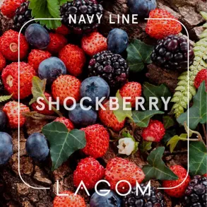 Lagom Shockberry (Лагом Кислі Ягоди) Navy 250g