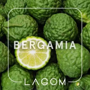 Lagom Bergamia (Лагом Бергамот) Navy 250g