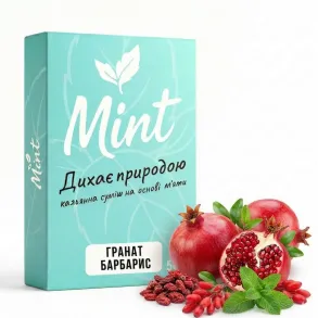 Беcтабачная смесь Mint - Гранат Барбарис 100г