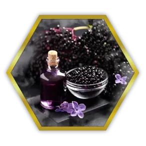 Palladium Elderberry (Палладиум Бузина) Strong Limited 50г
