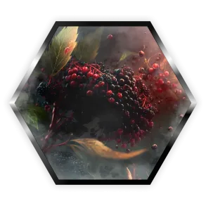 Palladium Elderberry (Палладіум Бузина) Strong 50г