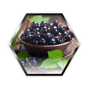 Palladium Black Currant (Палладіум Чорна Смородина) Strong 50г