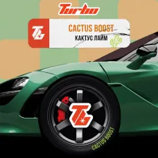 Turbo CACTUS BOOST (Турбо Кактус Лайм) 250г