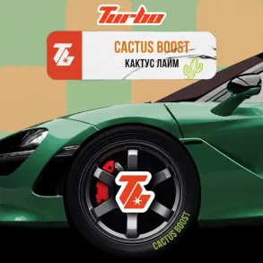 Turbo CACTUS BOOST (Турбо Кактус Лайм) На вагу 25г
