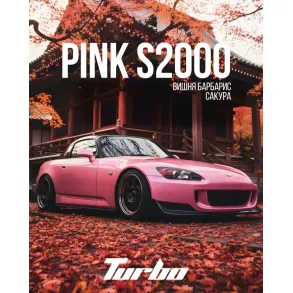 Turbo PINK S 2000 (Турбо - Вишня, Барбарис, Сакура) На вес 25г