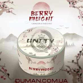 Unity Berry Mochi (Юніті Ягідний Моті) 100г