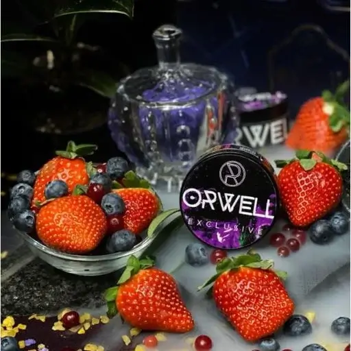 Orwell 1 Orwell 1.webp