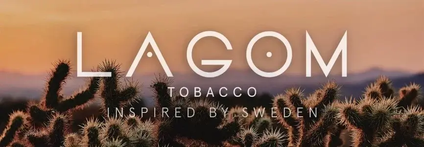 lagom lagom.webp